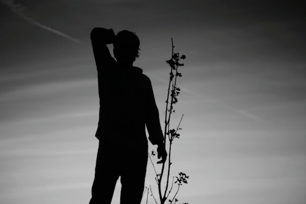 Foto silueta de un hombre con una planta contra el cielo