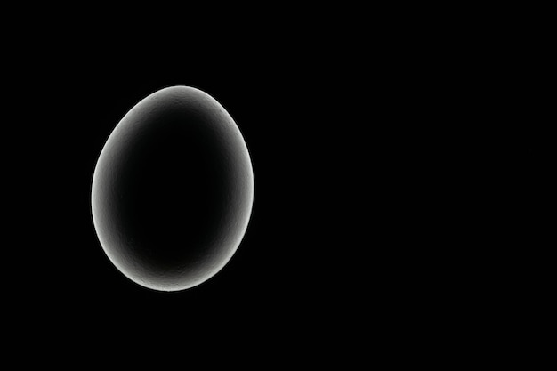 Silueta de huevo de gallina sobre fondo negro Tema del nacimiento de la vida Objeto abstracto circular con resaltado de ruta