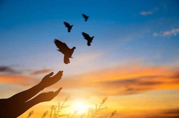 Silueta mano rezando grupo de aves volando hacia el cielo libertad y naturaleza al atardecer fondo con luz solar