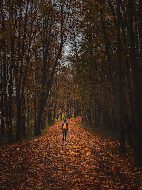 Silueta de una mujer desde atrás en el oscuro bosque de otoño