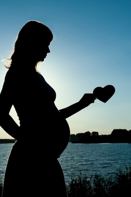 Silueta, de, mujer embarazada, en, un, naturaleza