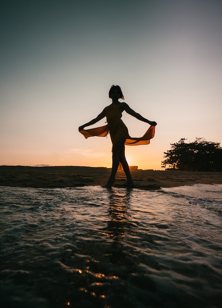 Silueta de mujer en vestido en la playa