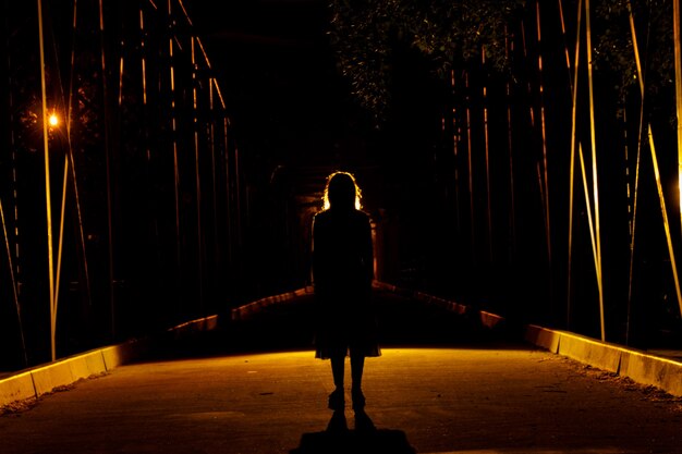 Foto silueta, de, niña oscura, en, un, puente