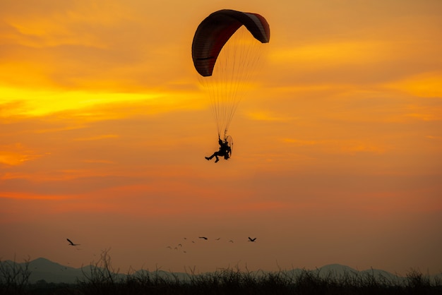 silueta pájaros voladores y paramotor puesta de sol cielo