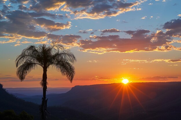 Silueta de una palmera al atardecer en las montañas