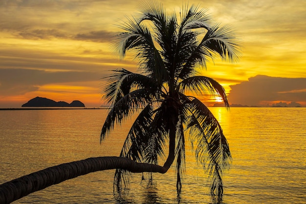 Silueta de palmera de coco al atardecer en una playa tropical cerca de la isla de agua de mar Koh Phangan Tailandia