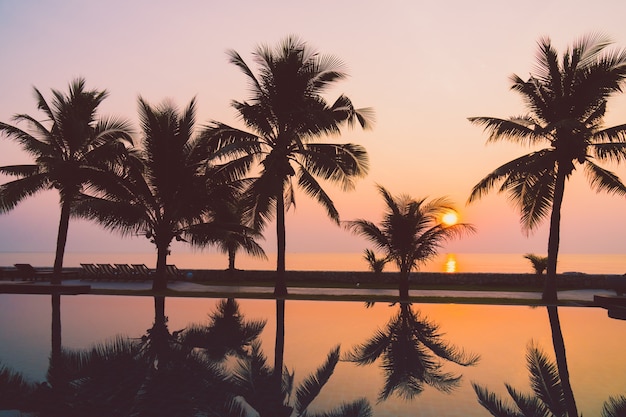 Silueta de palmera de coco alrededor de la piscina al aire libre