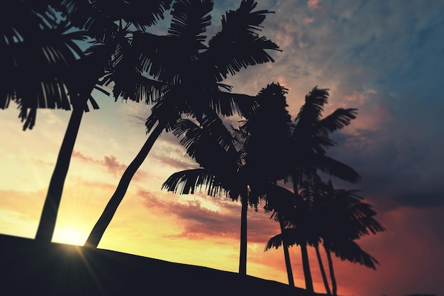 Silueta de palmera tropical contra el cielo del atardecer representación 3d