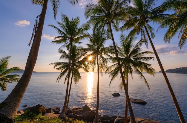 Silueta de palmeras de coco al atardecer o al amanecer cielo sobre el mar Increíble luz naturaleza paisaje colorido Hermosa luz naturaleza cielo y nubes