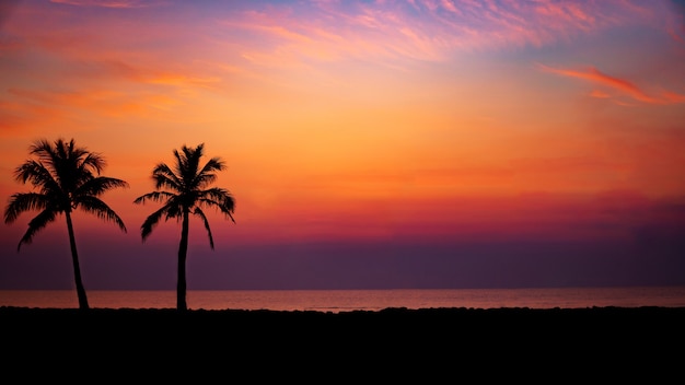 Silueta de palmeras de coco en la playa al atardecer