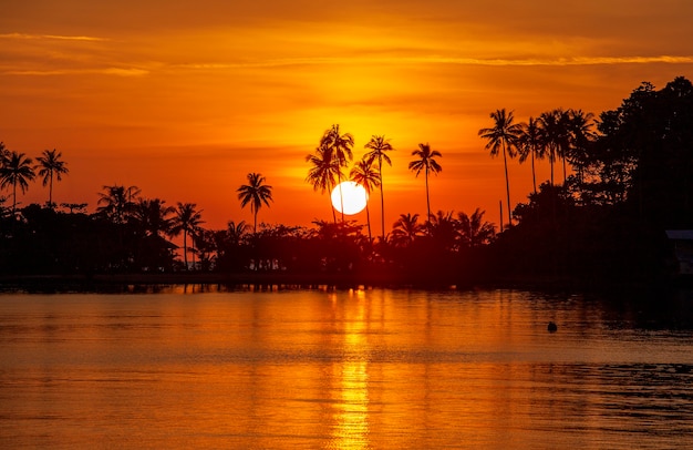 Silueta de palmeras de coco durante la puesta de sol junto al agua de mar en la isla de Tailandia. Concepto de naturaleza y viajes. Sol, cielo rojo, palmeras y agua de mar