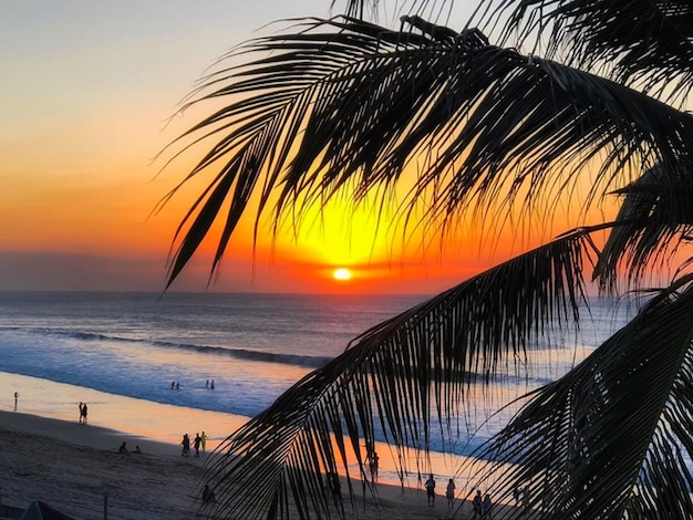 Silueta de palmeras en la playa contra el cielo durante la puesta de sol