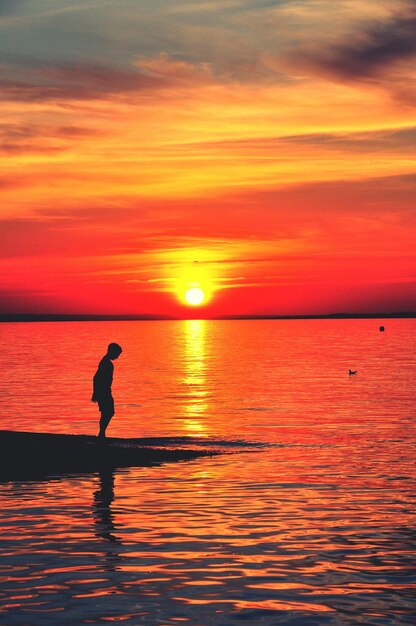 Foto silueta de una persona en la orilla durante la puesta de sol