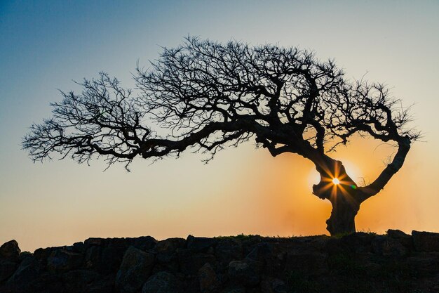 Foto silueta de una persona de pie en una roca contra el cielo durante la puesta de sol