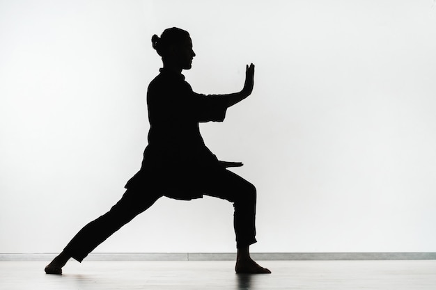 Silueta de una persona practicando ejercicios de energía qigong sobre un fondo claro