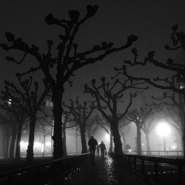 La silueta de personas caminando por un camino iluminado en medio de los árboles por la noche