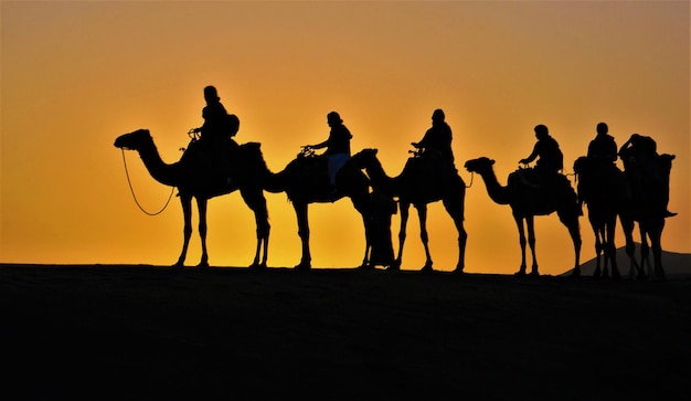 Silueta de personas montando en el desierto contra el cielo durante la puesta de sol