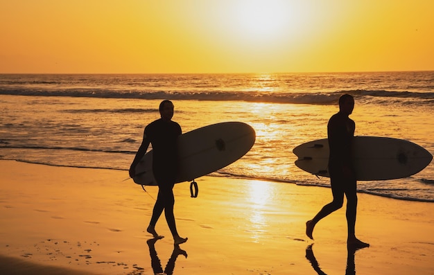 Silueta de surfistas que llevan su tabla de surf en la playa al atardecer