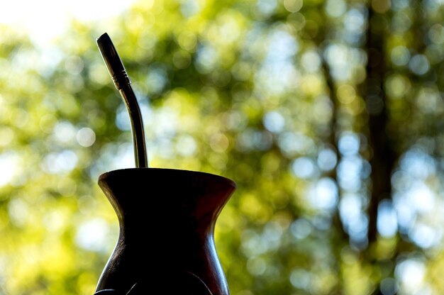 Silueta de té de yerba mate verde chimarrao