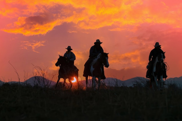 silueta, de, vaquero, equitación, caballo