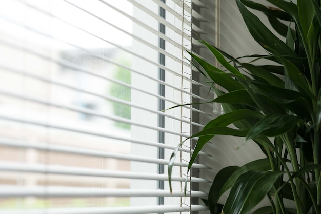 Silueta de ventanas ciegas contra la luz del sol.