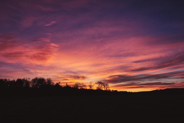 Foto siluetas de árboles en el campo contra el cielo dramático durante la puesta de sol