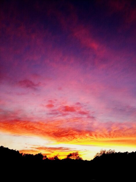 Foto siluetas de árboles en el campo contra el cielo naranja