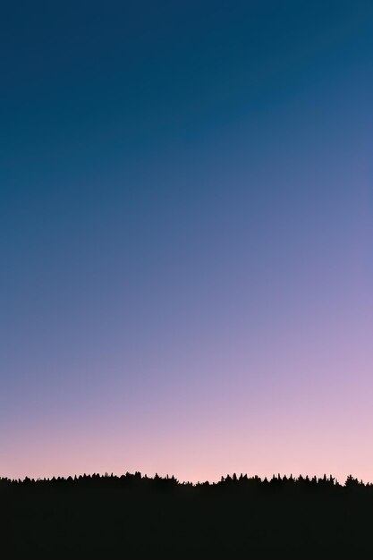 Foto siluetas de árboles bajo un cielo azul