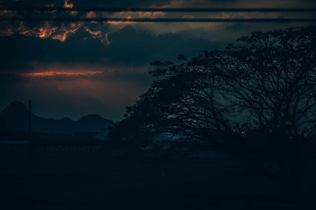 Foto siluetas de árboles contra el cielo al atardecer