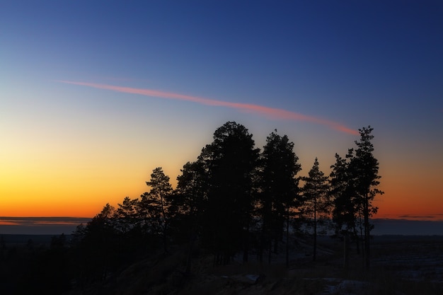 Siluetas de árboles contra el cielo después del atardecer.