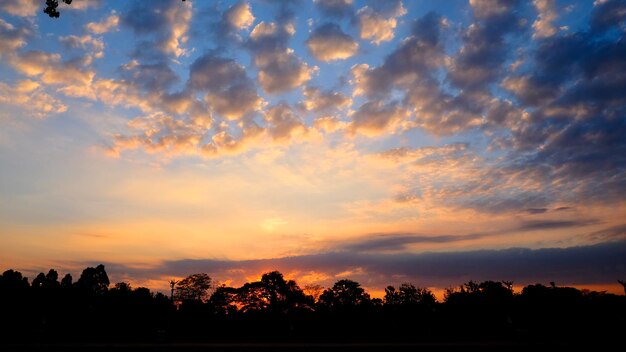 Siluetas de árboles contra el cielo dramático durante la puesta de sol