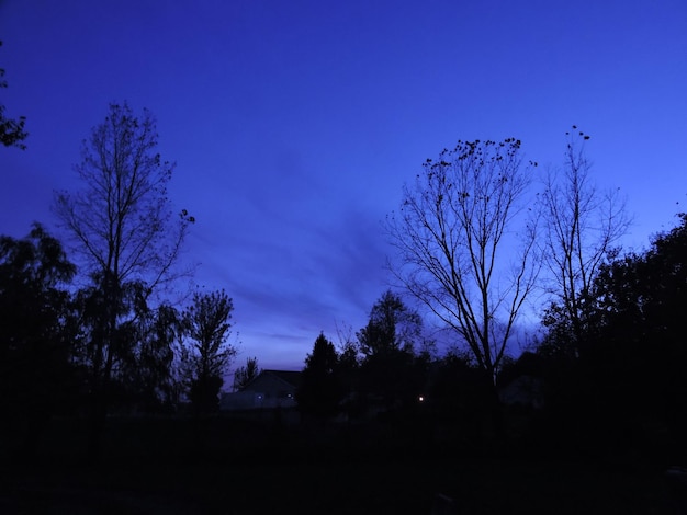 Foto siluetas de árboles contra el cielo por la noche