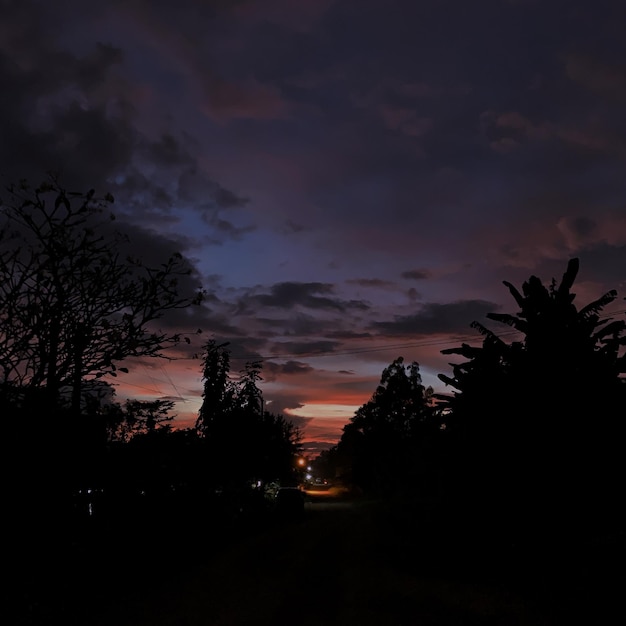 Foto siluetas de árboles contra el cielo durante la puesta de sol