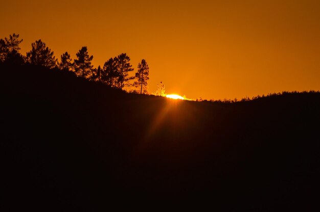 Foto siluetas de árboles contra el cielo durante la puesta de sol