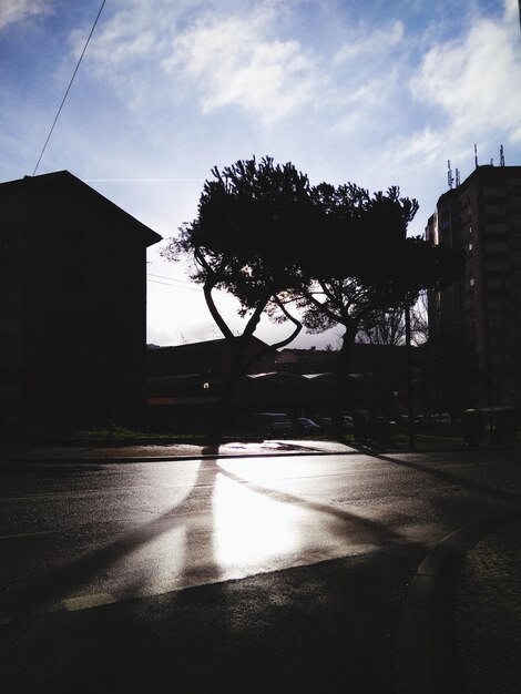 Foto siluetas de árboles y edificios contra el cielo