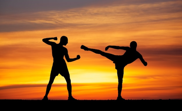 Siluetas de dos combatientes en el fondo ardiente del atardecer