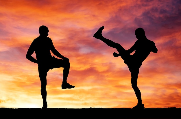 Siluetas de dos combatientes en el fondo ardiente del atardecer