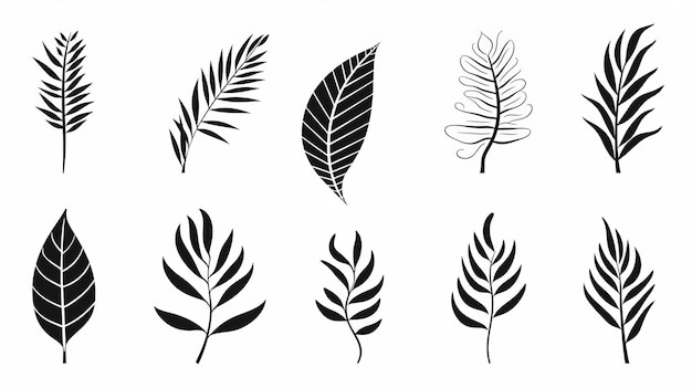 Siluetas de hojas tropicales minimalistas dibujadas a mano Arte vectorial inspirado en la naturaleza