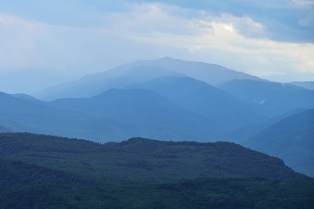 Siluetas de montaña y un bosque de pinos