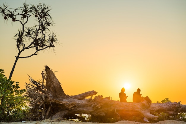 siluetas, de, pareja romántica, sentado, en, tronco de árbol, en, playa tropical, en, ocaso