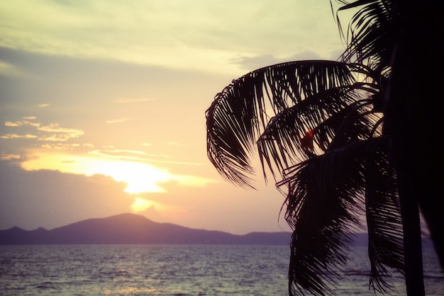 Siluetee el océano de la puesta del sol de la palmera del coco en la montaña tropical del cielo y de las islas del verano del mar tropical de la playa