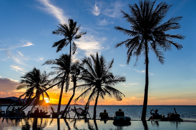 Siluetee la palmera y el grupo de turista que miran puesta del sol sobre el mar.