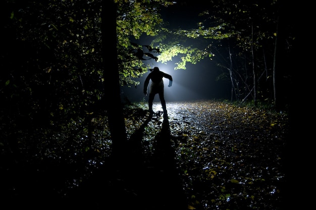 Siluette del hombre en el bosque en la noche