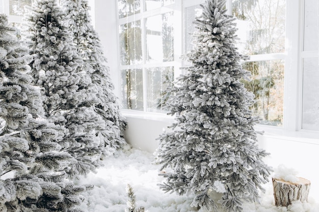 Silvester-Fotozone mit Schnee in der Nähe einer Café-Bäckerei Weihnachtsdekoration Spielzeug Weihnachtsbäume Bank Girlande leuchtende Glühbirnen festliches Stimmungsbild für Postkarte