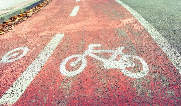 Símbolo de la carretera de bicicletas en un carril bici de la calle con hojas de otoño en el borde de la acera