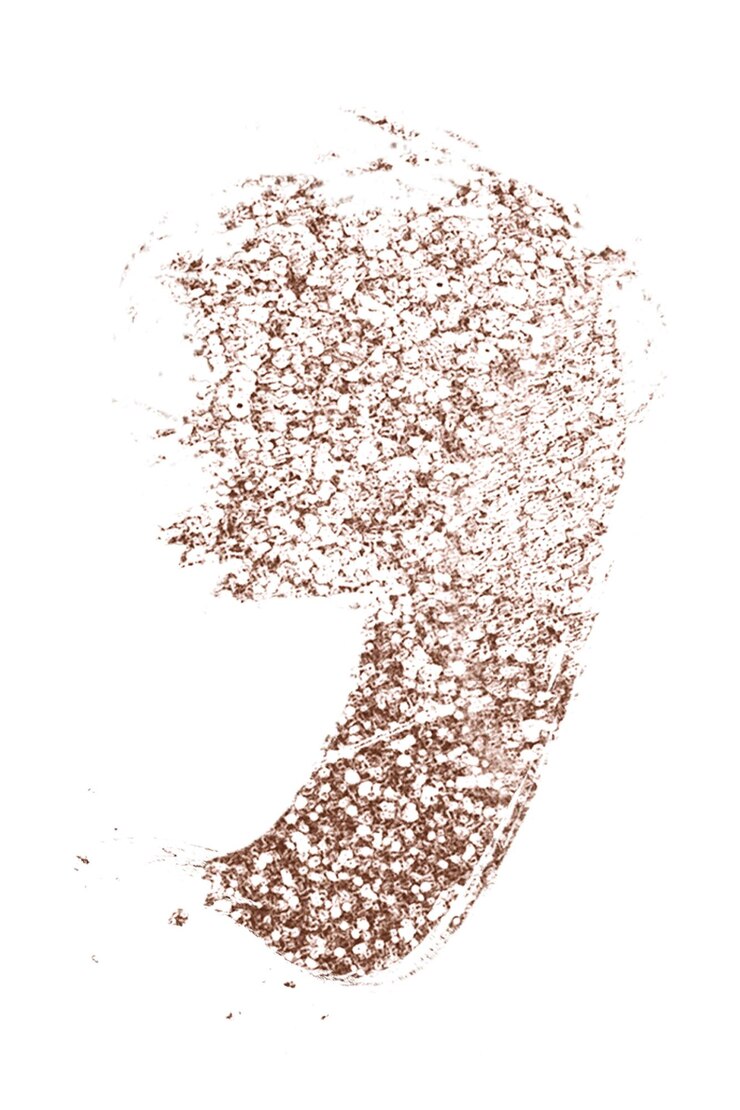 Símbolo de coma de brillo transparente con tipografía de oro rosa cepillado