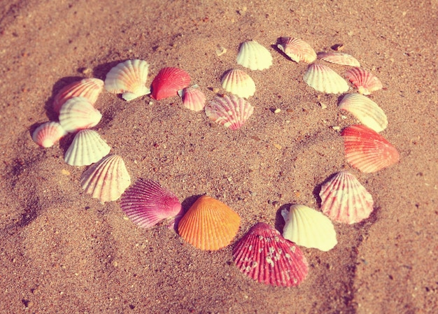 Símbolo del corazón de conchas en arena estilo retro vintage