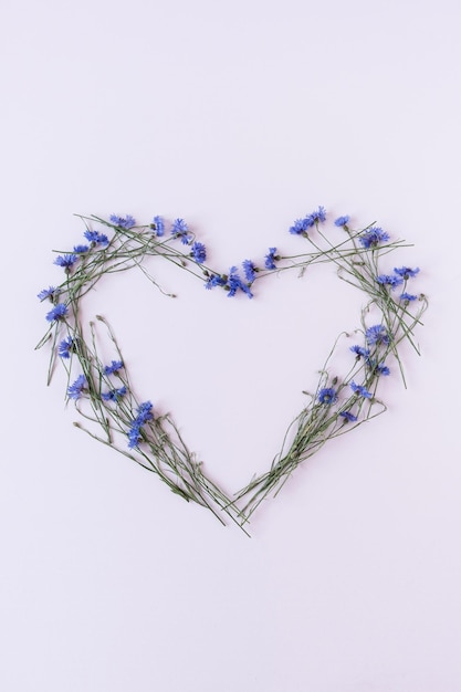 Símbolo del corazón hecho de acianos azules sobre fondo blanco Composición de flores de vista superior plana minimalista Concepto de vacaciones del Día de la Madre del Día de San Valentín