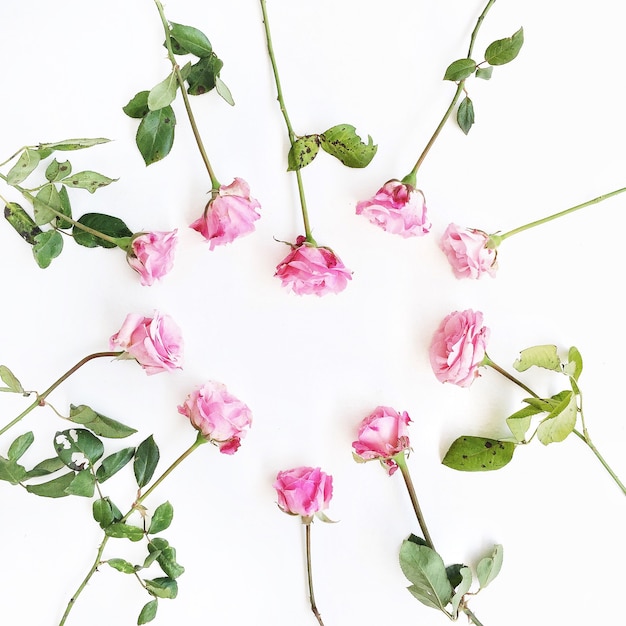 Símbolo del corazón de rosas rosadas sobre blanco