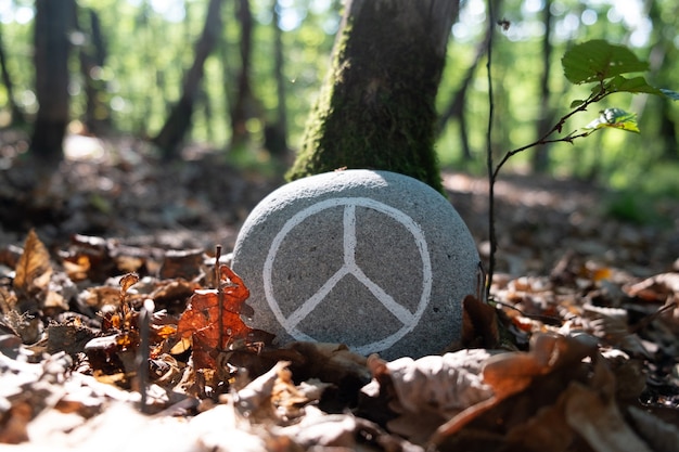 Símbolo da paz em uma pedra em uma floresta Perfeito para o Dia Internacional da Paz ou para o calendário social